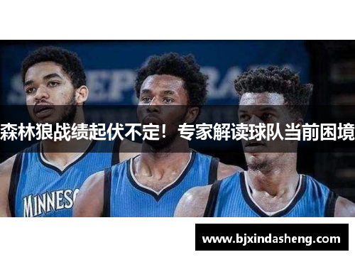 森林狼战绩起伏不定！专家解读球队当前困境