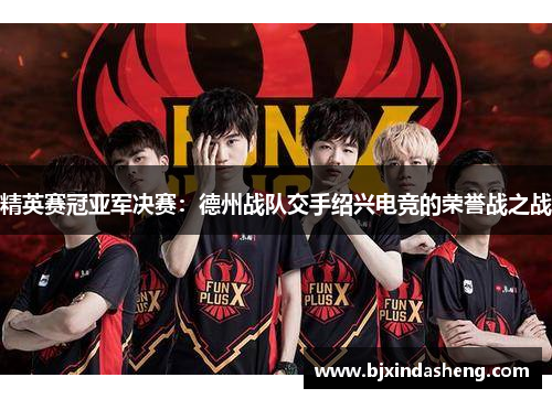 精英赛冠亚军决赛：德州战队交手绍兴电竞的荣誉战之战